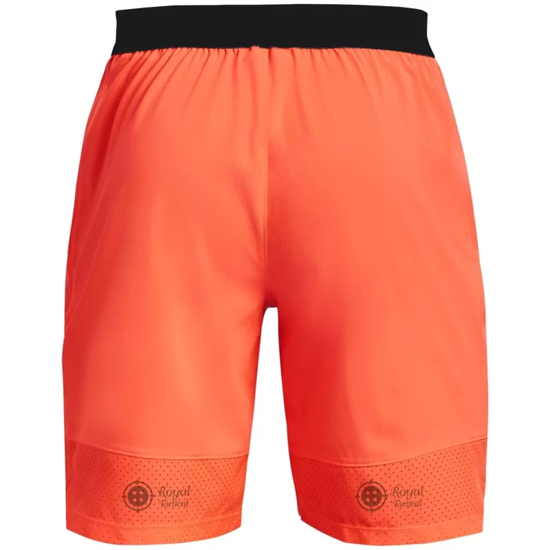 Fitness Shorts - Image 2